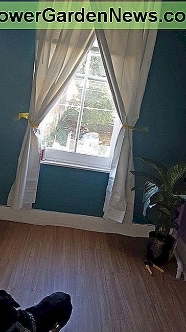ส่วนที่เหลือของห้องที่ฉันวาดรูปนกเป็ดน้ำ The rest of the room I painted teal