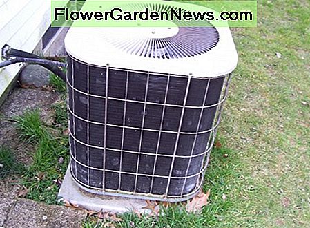 Kondensatorius Condenser
