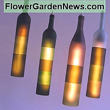 Flaschen-Pendelleuchten Bottle Pendant Lights