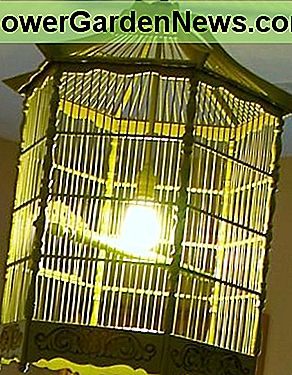 Vogelkäfig Bird Cage