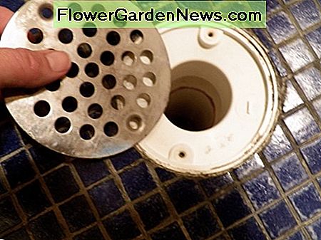 ท่อระบายน้ำที่ไม่มีการเปิดเผย ถอดท่อระบายน้ำออก Uncovered Shower Drain. Take off the drain.