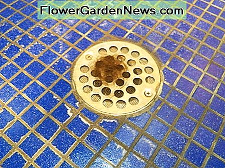 ผมติดที่หน้าจอระบายน้ำ Hair caught by drain screen.
