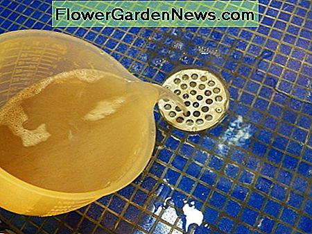 เอ็นไซม์เทลงในท่อระบายน้ำ ใช้เดือนละครั้ง Enzymes pouring in drain. Use once a month.
