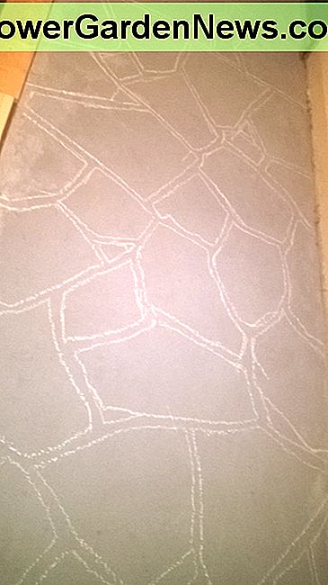 Teken je stenen patroon met stoepkrijt. Draw your stone pattern with sidewalk chalk.
