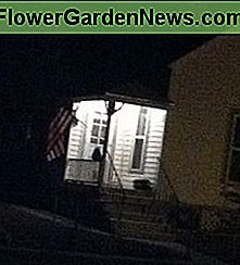 Veranda Licht Porch Light