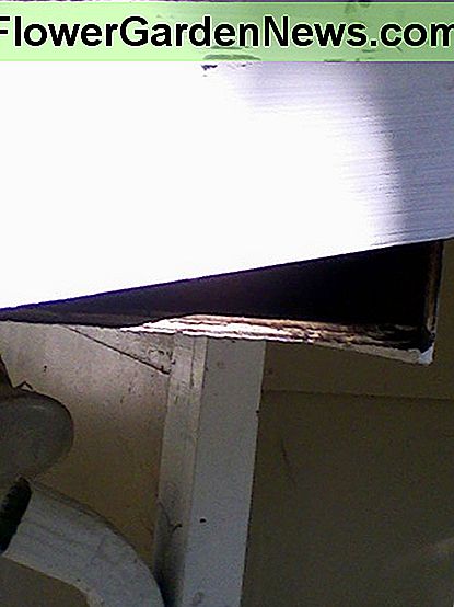 Vervangen boord van de fascia genageld op zijn plaats. Schade aan verf zal worden afgedekt met een afwerklaag die op zijn plaats is aangebracht. Replacement fascia board nailed in place. Damage to paint will be covered with a finish coat applied in place.