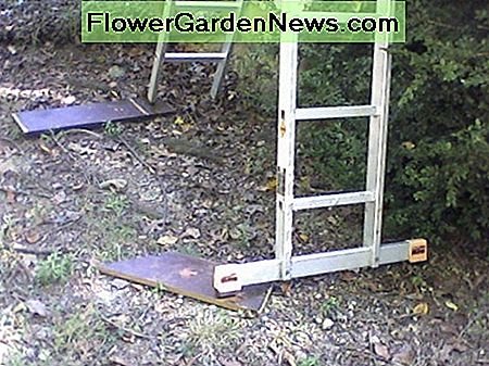 Ladder - op te lossen. Ladder--fix.