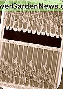 Spitzencafévorhang mit dem gleichen Selbstwertvolant Lace cafe curtain with same-self valance