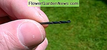 Bohrer mit kleinem Durchmesser Small diameter drill bit