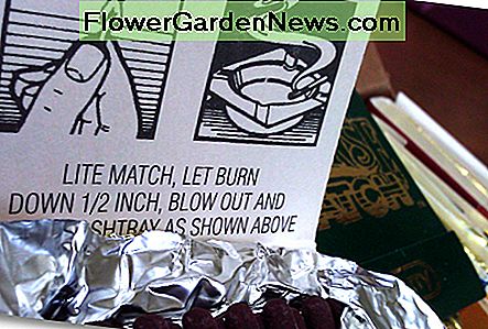 Se, hver bog med røgelse matcher, selv kommer med instruktioner! Look, each book of incense matches even comes with instructions!
