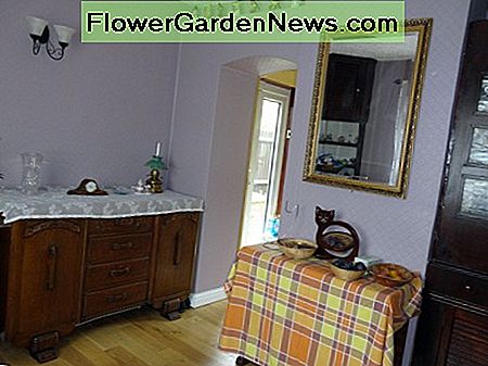 Kambarys dekoruotas; vaizdas į virtuvę. Room decorated; view into kitchen.