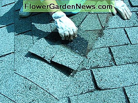 Entfernen Sie die doppelten Schichten von Kies, wo nötig remove the double layers of shingle where necessary