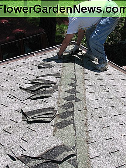 Entfernen der zusätzlichen Schicht von Asphaltschindeln auf einer der Rippen, um eine bündige Oberfläche für die Schaumplatte zu erhalten removing the extra layer of asphalt shingles on one of the ridges to make a flush surface for the foam board
