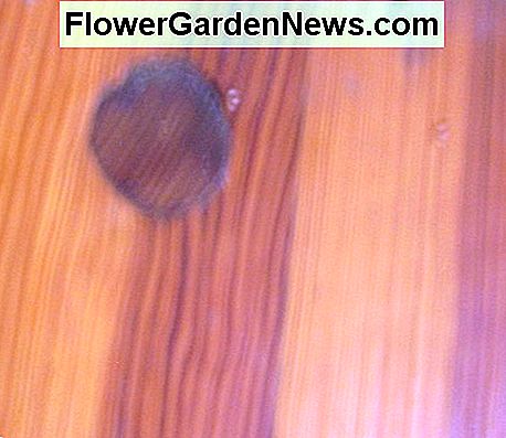 O gaură de radiator poate fi conectată cu un diblu. A radiator hole can be plugged with a dowel.