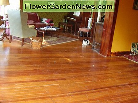 Podele din lemn de pin din inima sunt un bun bun pentru o casă mai veche Antique heart pine floors are a beautiful asset to an older home