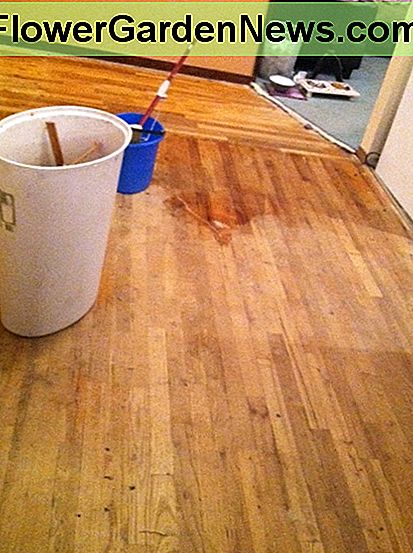 Sweep & Mop den Boden Sweep & Mop the Floor