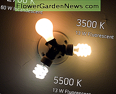 Spalvų lemputės temperatūra Color Temperature of Light Bulbs