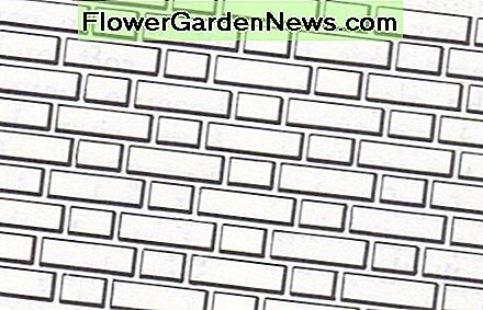 Flamandų obligacija Flemish Bond