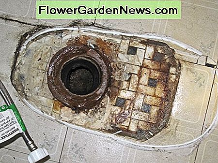 Pažeistas vaško žiedas atsiranda, kai prasiskverbia aplink tualeto bazę. A damaged wax ring shows up as seepage around the toilet's base.