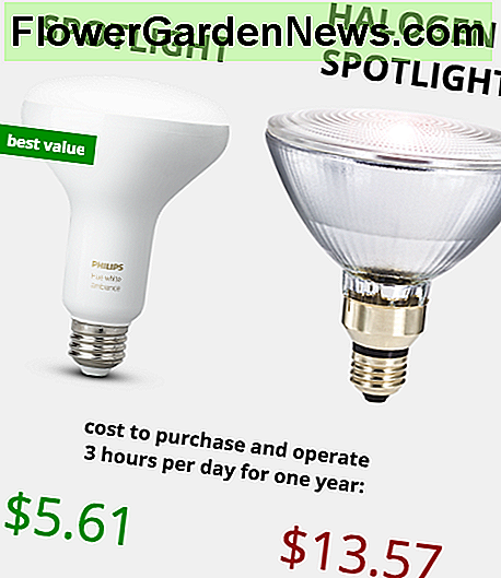 Ar šviesos lemputės taupo pinigus? Didelis laikas - lyginant Do led lights save money? Big time - comparing Halogen Light vs LED shows LED being about 2.5 times cheaper to operate.