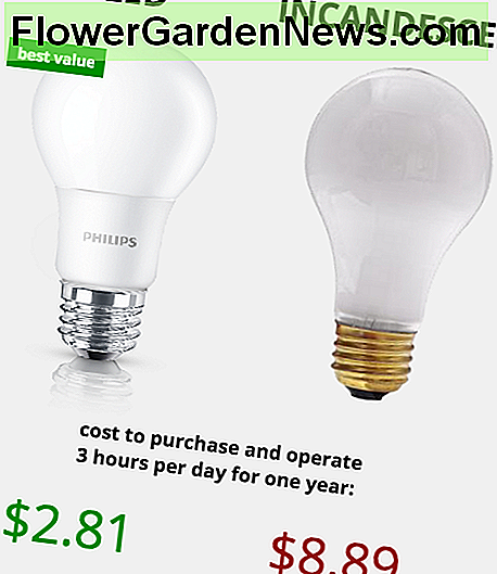 LED vs kaitrinės lemputės: nors jie turi šiek tiek didesnę pradinę kainą, LED lempos daro mažesnes išlaidas, efektyvesnį apšvietimą LED vs Incandescent light bulbs: Although they have a slightly higher initial cost, LED lights make for lower cost, more efficient lighting