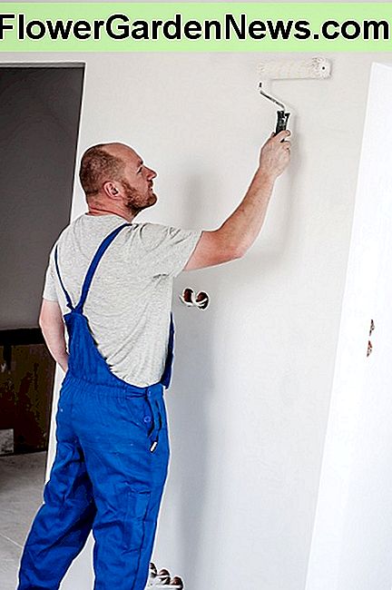 Tapyba su ritinėliais Painting with a roller