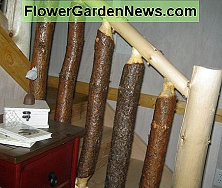 Log Railing Log Railing