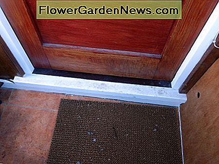 Mahoniehouten onderdorpel wit geschilderd, met originele deur. Mahogany door sub-sill painted white, with original door.