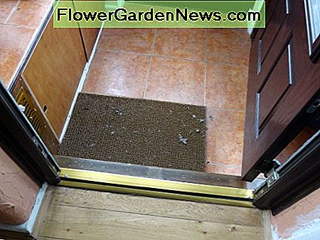 Originele onderdorpel van de deur uitgekapt terug naar het kale hout, met de nieuwe deur gemonteerd. Original door sub sill stripped back to the bare wood, with the new door fitted.