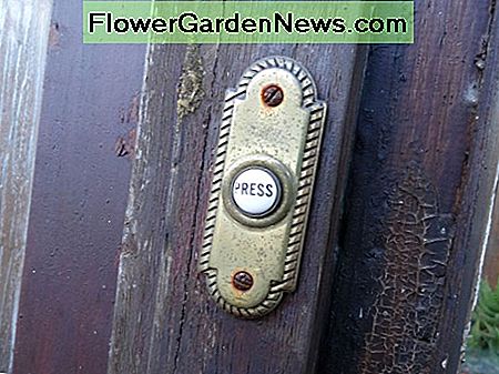 Originele deurbel op de buitenporchdeur Original doorbell on the outer porch door