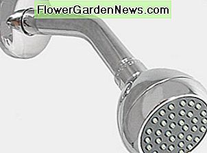 Garsi dušo galvutė. The infamous shower head.