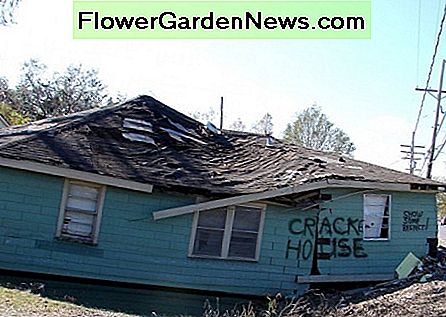Hurrikan Katrina lieferte ein extremes Beispiel dafür, wie zu viel Wasser ein Fundament untergraben kann. Denken Sie, dass die Besitzer den Sinn für Humor des Graffitikünstlers darüber geteilt haben? Hurricane Katrina provided an extreme example of how too MUCH water can undermine a foundation. Do you think the owners shared the graffiti's artist's sense of humor about this?