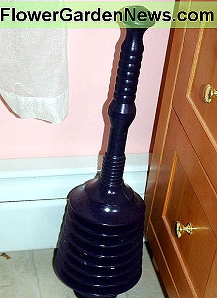 Rekomenduojamas plunžeris Recommended Plunger