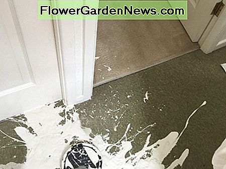 Tai, kas nutiko neseniai su mano kilimo kilimu! This is what happened to my landing carpet recently!