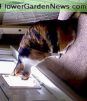 Ze neigt naar de natuur ... She's leaning toward the outdoors...