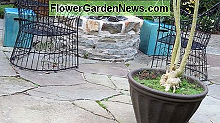 การตั้งค่าของหลุมไฟแก๊สบนลานที่มีอยู่ Idyllic setting of gas fire pit on existing patio.