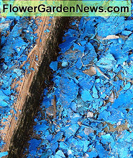 Eine Oberfläche mit abblätternder Farbe A Surface with Flaking Paint