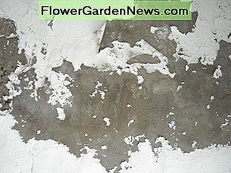 Eine gemalte Oberfläche, die von einer korrodierenden Substanz betroffen ist A Painted Surface Affected by a Corrosive Substance