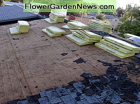 Halvdelen af taget er renset, klar til ny filt. Half of the roof is cleaned off, ready for new felt.