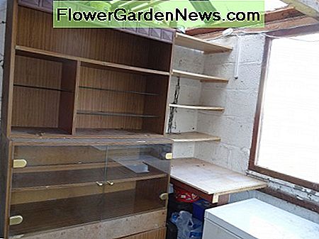 L'ancien placard et les étagères des congélateurs près de la fenêtre The old cupboard and shelving by the freezers near the window