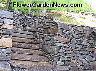 6 'breite feste Schritte mit Feldsteinstützmauern 6' wide solid steps with field stone retaining walls