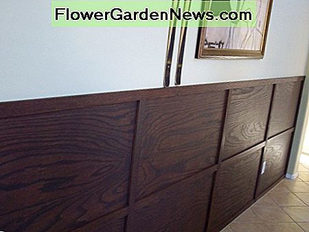 In plaats van traditionele lambrisering kan houten lambrisering worden gebruikt om een ​​aantrekkelijke en meer mannelijke uitstraling te creëren. Instead of traditional wainscoting, wood paneling can be used to create an attractive and more masculine look.