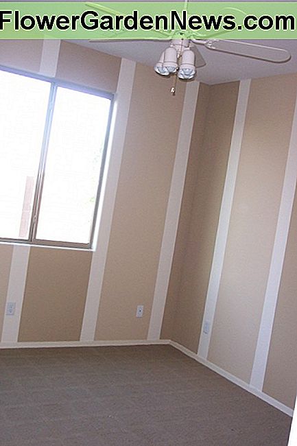 Dit is onze logeerkamer voordat er meubilair werd verplaatst. De verticale strepen voegen een kleine kamer toe en neutrale kleuren laten ruimte voor verschillende soorten decor. This is our guest room before any furniture was moved in. The vertical stripes add height to a small room, and the neutral colors leave room for various types of decor.