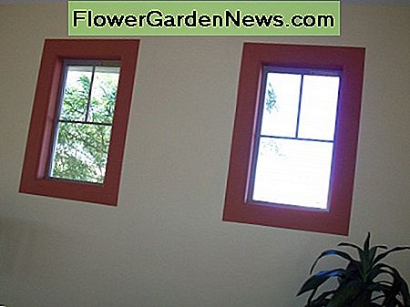 Deze vensters zijn gemarkeerd met een donkerrode rand waardoor traditionele raambekleding overbodig is. These windows are highlighted with a dark red border which eliminates the need for a traditional window treatment.