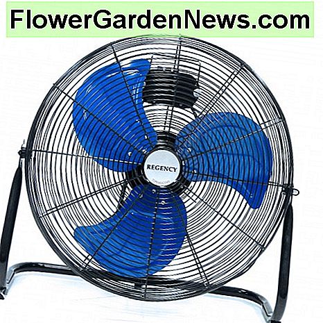 Verwenden Sie einen Ventilator, um das Haus zu durchlüften! Use a fan to help cross ventilate the home!