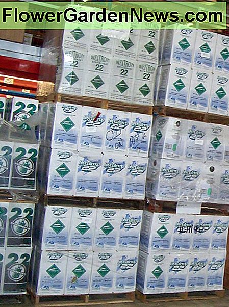 Palettes de conteneurs R-22 Pallets of R-22 Containers