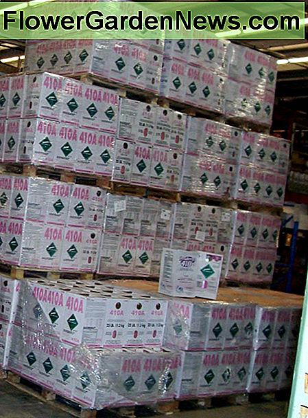 Palettes de conteneurs frigorifiques 410a. Pallets of 410a refrigerant containers.