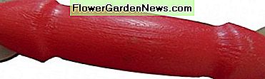 แถบป้องกันยางรัดหน้าจอ Screen rubber strip securing device.