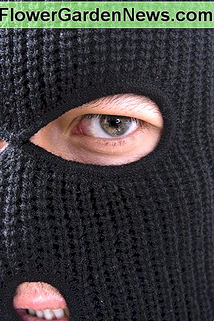 Jis užstatys jūsų daiktus, kad jis galėtų nusipirkti naują kaukę. He'll pawn your things so he can buy a new mask.