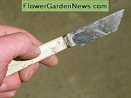 Ein geschärftes Abendessenmesser, das für das Kennzeichnen des Bauholzes benutzt wurde A sharpened dinner knife used for marking timber